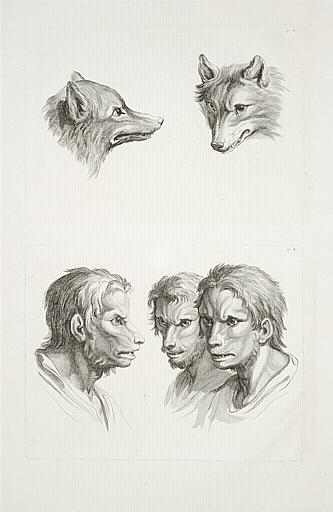 Deux têtes de loups et trois têtes d'homme en relation avec le loup.