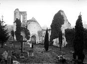Chênehutte-Trèves-Cunault : Eglise de Saint-Maxenceul (ruines) - Côté ouest