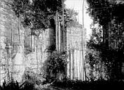 Landévennec : Abbaye - Ruines: intérieur
