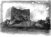 Rougemont : Château - Vue extérieure : ruines