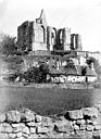 Avon : Château et collégiale des Roches-Tranchelion (ruines) - Côté sud-ouest