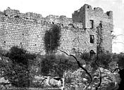 Avon : Château et collégiale des Roches-Tranchelion (ruines) - Ruines