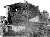 Champtocé-sur-Loire : Château de Gilles de Rays (restes) - Ruines, côté sud-ouest