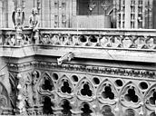 Paris 04 : Cathédrale Notre-Dame - Galerie de la façade ouest : balustrade et chimères