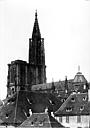 Strasbourg : Cathédrale Notre-Dame - Ensemble sud-est : Flèche et toitures
