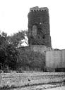 Haye-du-Puits (La) : Château (ruines de l'ancien) - Vue d'ensemble