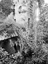 Vic-sous-Thil : Château de Thil (ruines) - Donjon et caves, côté sud