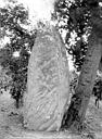 Saumur : Menhir dit La Pierre Longue - Vue d'ensemble