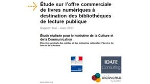 Etude IDATE