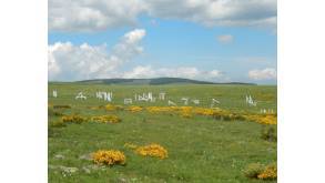 Ma montagne oeuvre de Camille Henrot - Pailherols - Cantal