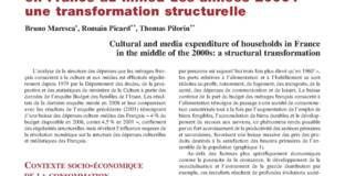 Dépenses culture-médias des ménages au milieu des années 2000 : une transformation structurelle