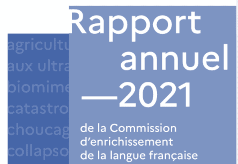 vignette rapport commission terminologie 2021.PNG