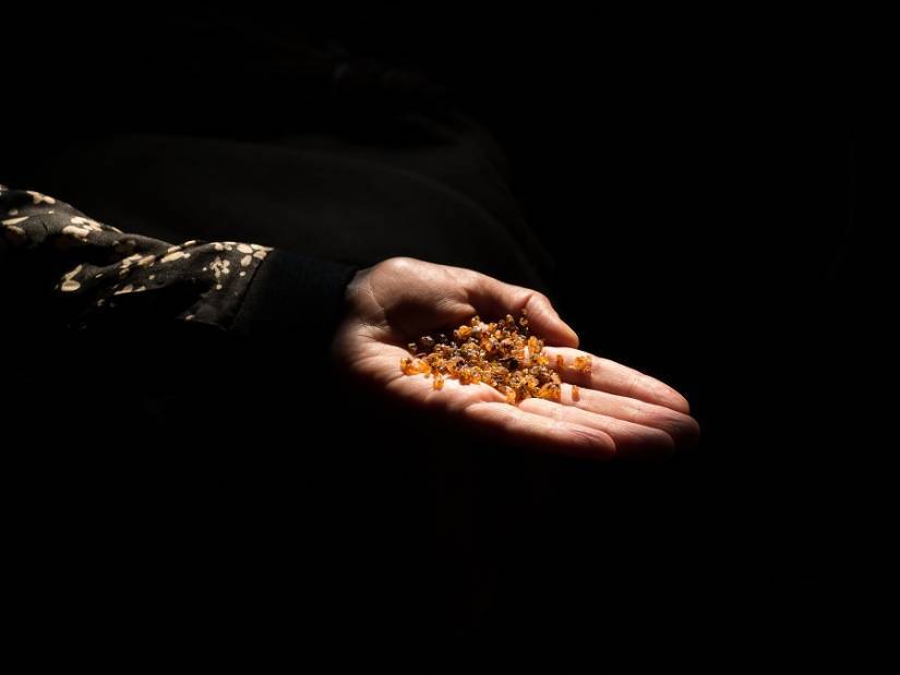 1_d-hand-seedlac-site.jpg