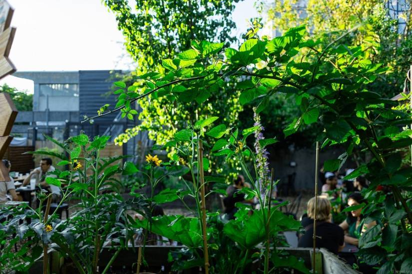 jardin 21 paris 19e-site.jpg