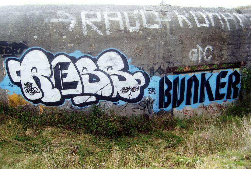 Ress (par Flying Fortress-Hamburg)- Bunker (par Poch)-fort de la Varde-2009-photo Patrice Poch.jpg