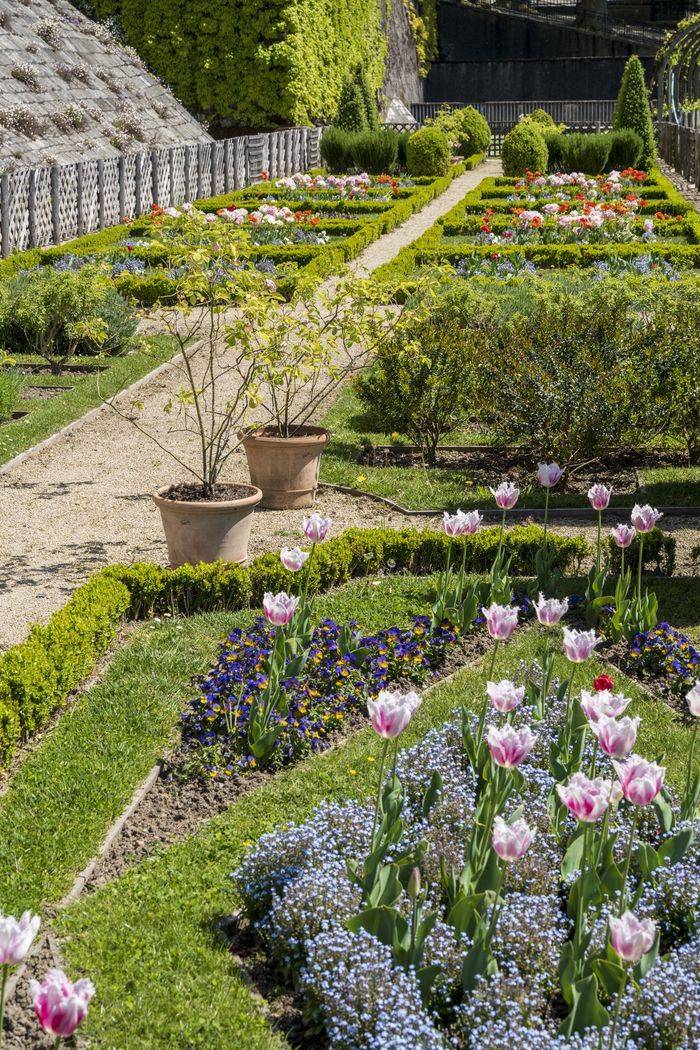 64 - Pau - Domaine national du Château © Domaine national du Château.jpg