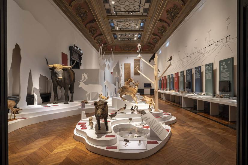 PHOTO 2 : Une salle d'exposition remplie de sculptures d'animaux et d’animaux empaillés.