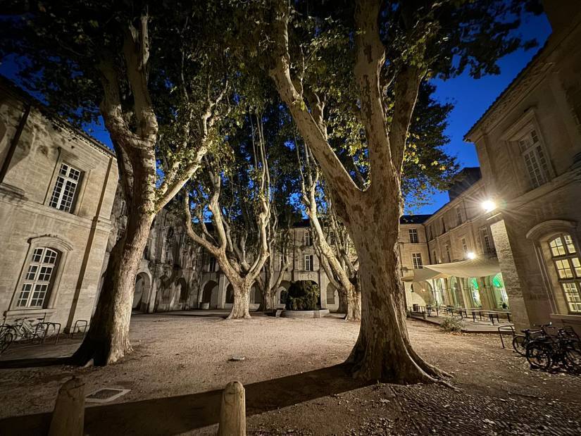 Cloître Saint Louis © Gilles Ciment, septembre 2024