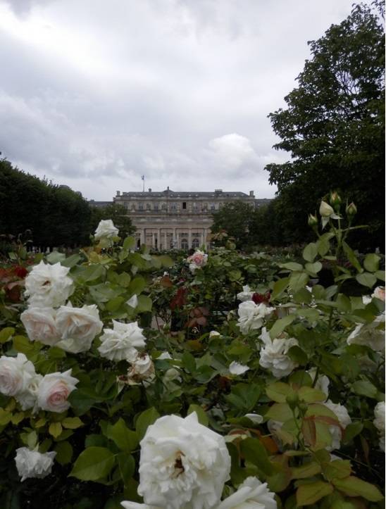 75 - Jardin du domaine national du Palais-Royal - Paris - 1.jpg