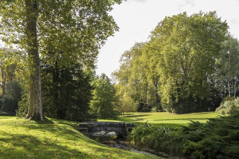 Vue sur le jardin Anglais-site ©  Château de Fontainebleau Serge Reby.jpg