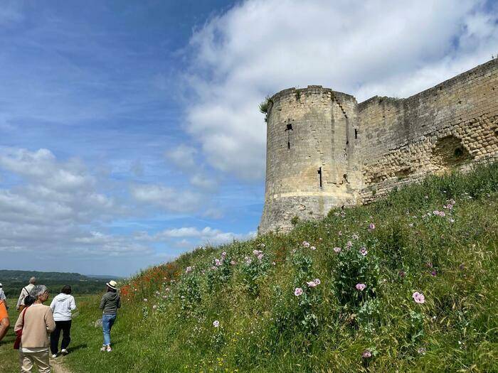 Le château de Coucy, un château-fort médiéval avec quelques passages escarpés et des fossés tout au long de la forteresse, offre un panorama exceptionnel sur la ville et ses environs.