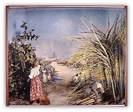 le diorama café et canne à sucre.jpg