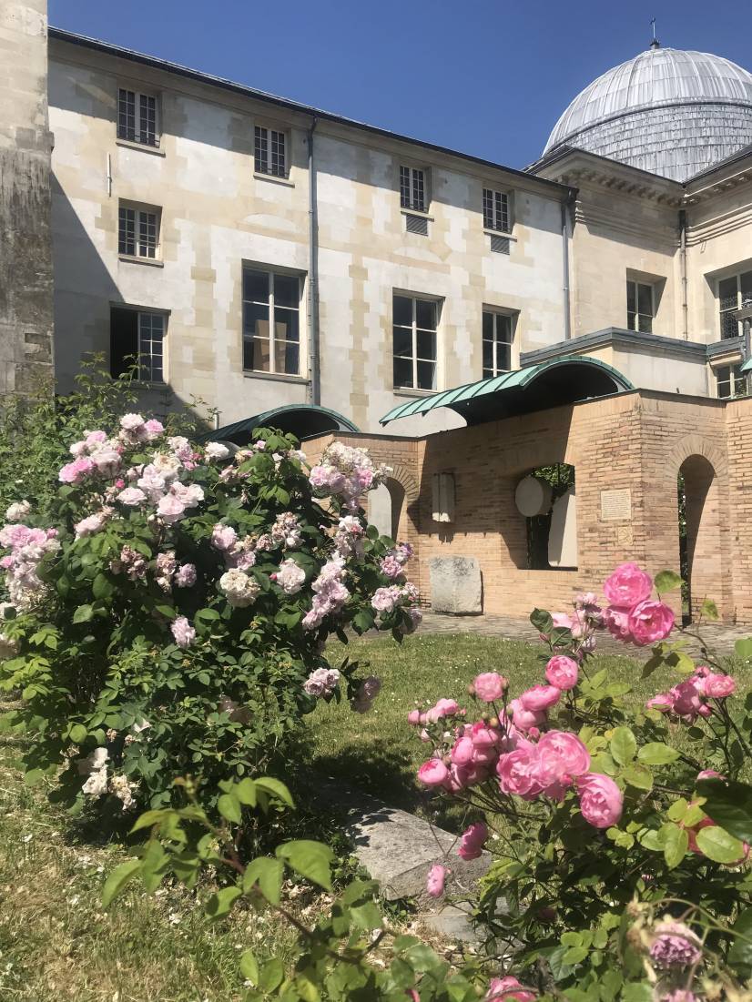 Jardin des 5 sens - Musée d'art et d'histoire de Saint-Denis.jpg