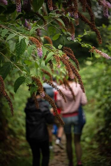 "Un été culturel à Saint-Prix : art, sport et nature" (Val d’Oise, 95) © DRAC Île de France / Nadège Le Lezec