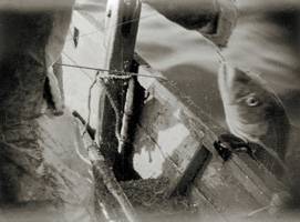 Anonyme, photographie, La pêche à la morue à bord d'un doris, Les Pêcheries, musée de Fécamp
