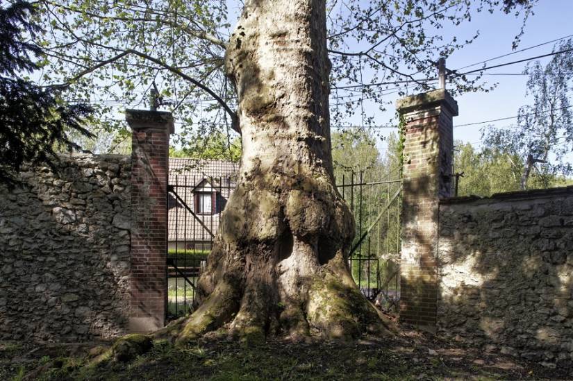 Parc de la Maison de Retraite des Artistes Dramatiques 77-site.jpg