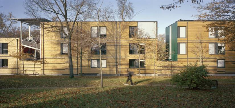 bâtiment_bois_dans_foret