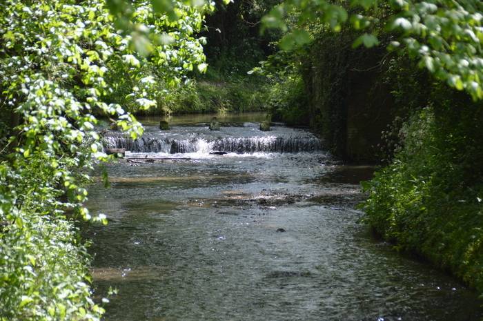 Photo d'une petite cascade