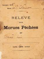 Relevé des morues pêchées, Les Pêcheries, musée de Fécamp