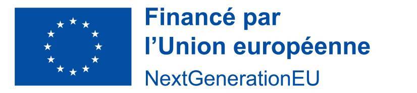 FR Financé par l’Union européenne_PANTONE.jpg