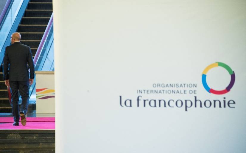 logo de l'organisation internationale de la francophonie avec en arrière plan une personne de dos
