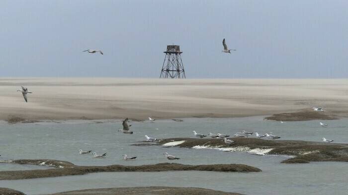 Photo du phare de Walde