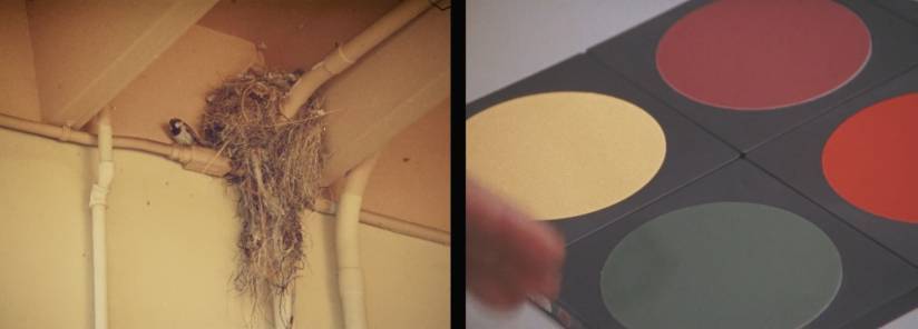 5- A Day is Not a Day, Courtesy of the artist, Pace Gallery and Sfeir-Semler Gallery.jpg