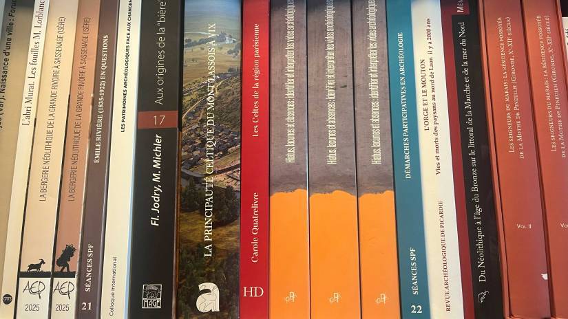 Les livres align&eacute;s sur leur &eacute;tag&egrave;res