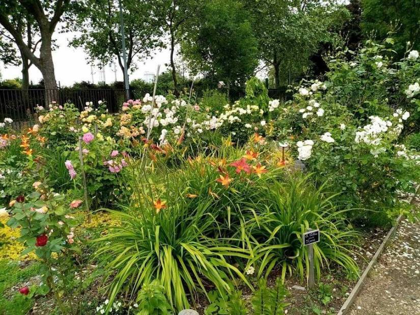 Jardin du Val des Oiseaux-site.jpg