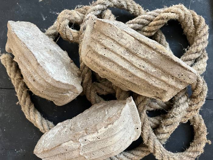Photo d'objets marins du musée Opale Sud
