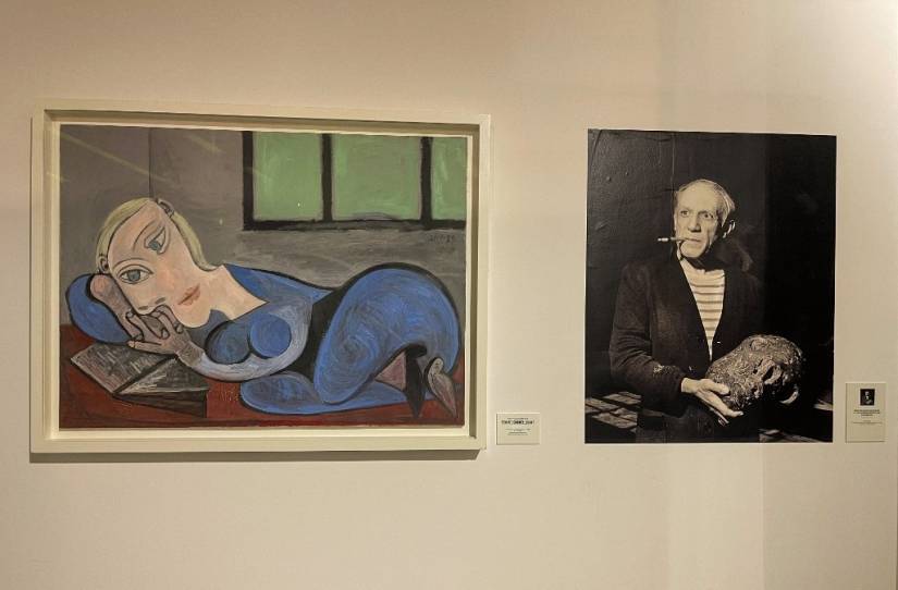 PICASSO-DAKAR-Fatma Esma Arslan - Anadolu Agency via AFP4.jpg