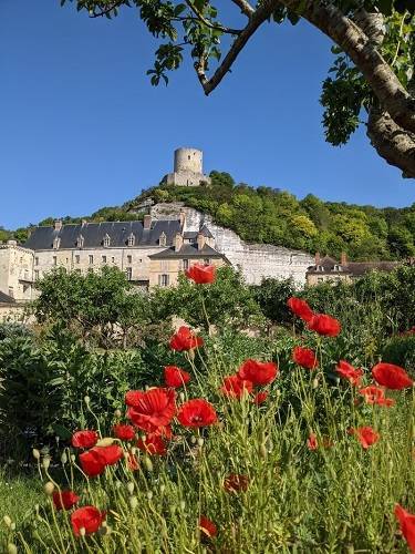 Potager du château de La Roche-Guyon-site.jpg