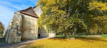 PHOTO 4 : La photo montre une partie de l'Abbaye de Vaucelles, un ancien bâtiment en pierre. À droite de l'abbaye, un grand arbre aux feuilles dorées indique que la saison est l'automne. Le sol est parsemé de feuilles jaunes tombées, créant un tapis naturel qui ajoute de la chaleur au paysage.