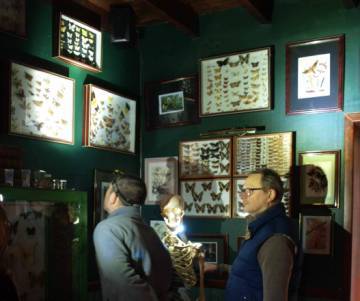 La Cité des Insectes à Nedde
