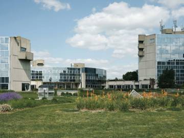 L'éco-jardin du siège social de la MAIF