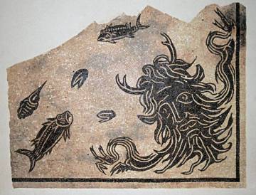 Grand morceau de mosaïque gallo romaine, beige et noire, avec décor de poissons, de coquillages et d'une tête de personnage mythologique barbu