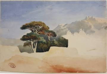 Ziem Félix (1821-1911), Midi, étude de pins dans un paysage, papier, crayon graphite, aquarelle, Martigues, musée Ziem / Photo : Musée Ziem, Martigues