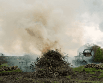 photographie d'un tas de branches d'arbres en feu.png