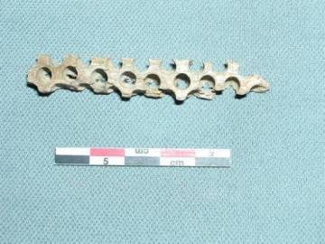Petit fragment percé de trous alignés et disposés en quinconce, bois, entre 1700 et 1747, objet déposé par le DRASSM au château-musée de Noirmoutier en 1985, vol constaté en 2020