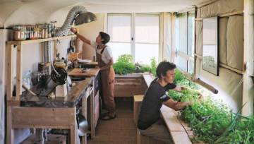 Visuel de l'exposition "Demain se pr&eacute;pare : cap sur la ville low-tech" organis&eacute;e par la m&eacute;diath&egrave;que de Saint-L&ocirc;